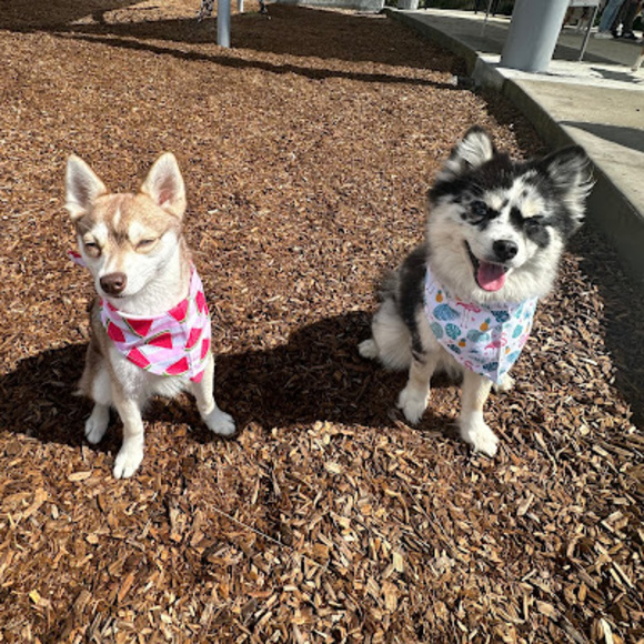 Profile Picture of Hannah Nenadich (@hnen90) on Poshmark