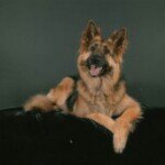 Profile Picture of Cindy Guido (@isis712) on Instagram