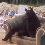 Profile Picture of Brian Cockroft (@Brian-Cockroft) on Facebook