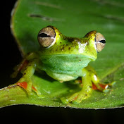 Profile Picture of ALEJANDRO ESQUIVEL (@alejandroesquivel5318) on Youtube