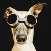 Profile Picture of Mincho Krastev (@mincho-krastev) on Quora