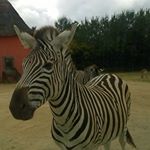 Profile Picture of Daniel (@daniel.ferguson123) on Instagram