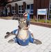 Profile Picture of Doris Kaschner Wehrs (@doris.kaschnerwehrs.5) on Facebook