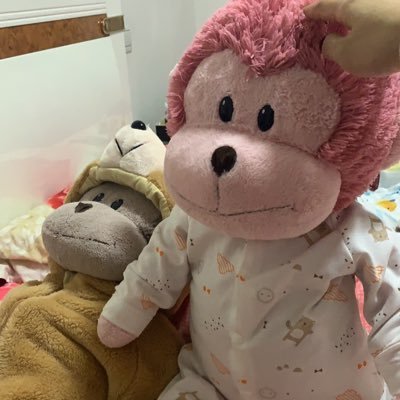 Profile Picture of Fiona Deng (@FionaDeng9) on Twitter