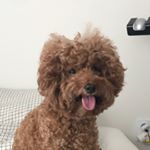 Profile Picture of 김혀링 (@h.h.and) on Instagram