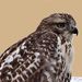 Profile Picture of James Waghorne (@jameswaghorne) on Pinterest