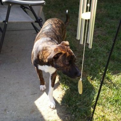 Profile Picture of Joyce Murphy (@joycemurphy1950) on Twitter