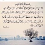 Profile Picture of f. hinnaoui (@fhinnaoui) on Instagram