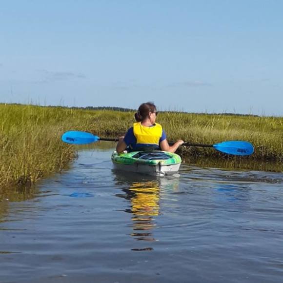 Profile Picture of Nancy Ferguson (@nancyferguso229) on Poshmark