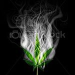 Profile Picture of Dillon Barker (@barkerr458) on Instagram