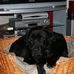 Profile Picture of Larry Fitzpatrick (@larry.fitzpatrick.9212) on Facebook