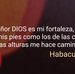 Profile Picture of Consuelo Rico (@consuelo.rico.942) on Facebook