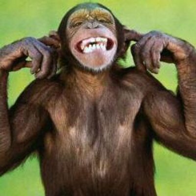 Profile Picture of Colin Mears (@ColinMears) on Twitter