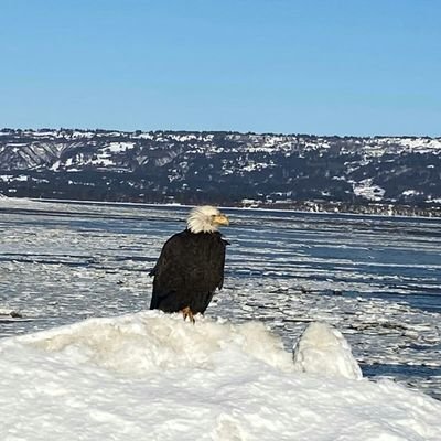 Rita - Twitter Profile Picture of Rita (@Richard51665879) on Twitter