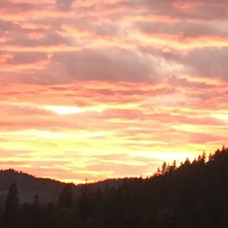 Profile Picture of Avery Stevens (@avery.stevens.9843499) on Facebook