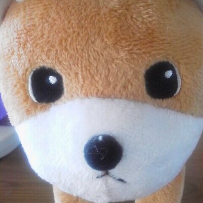 流れ星に願いを込めて☆ミ - Twitter Profile Picture of 流れ星に願いを込めて☆ミ (@mickey_cherry12) on Twitter