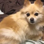 Profile Picture of Naomi Hansen (@cutie__80531) on Instagram