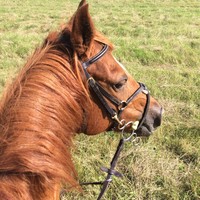 Profile Picture of Alice Weston (@alice-weston-6) on Quora