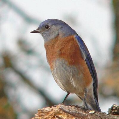 Profile Picture of Robert Dalby (@tweeter122) on Twitter