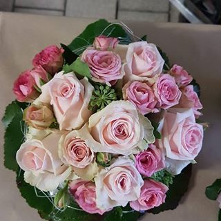 Sheila JunkerAdam - Facebook Profile Picture of Sheila JunkerAdam (@sheila.junkeradam) on Facebook