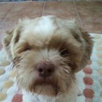 Profile Picture of Stuart Hanckel (@mstuarthanckel) on Pinterest