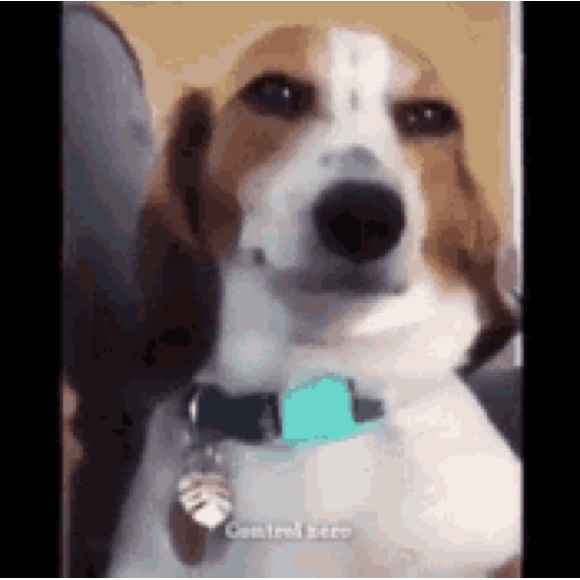 Profile Picture of Miles Huffhines (@mileshuffhines) on Poshmark