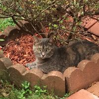 Profile Picture of Joe Milot (@joe-milot-3) on Quora