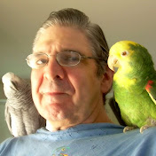 Profile Picture of John Ireland (@Biblerookie) on Youtube