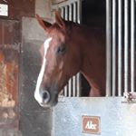 Profile Picture of Peter Rimmer (@peter.rimmer.108) on Instagram