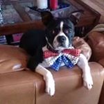 Profile Picture of Brian Hannon (@hannon9620) on Instagram