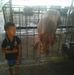 Profile Picture of Pak Alvin (@pak.alvin.5) on Facebook