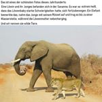 Profile Picture of Ted Hsu (@999ted) on Instagram