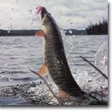 Profile Picture of Vito Carbonelli (@112905191) on Myspace