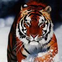 Profile Picture of Heath Patterson (@heath-patterson) on Quora