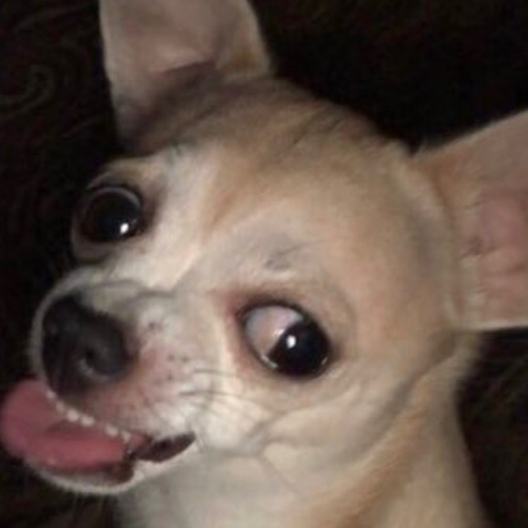 Profile Picture of David Easter (@daveaster45) on Poshmark