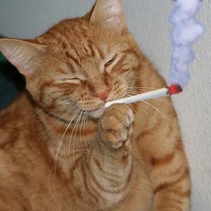 Profile Picture of Andrew Wilkening (@229196017) on Myspace