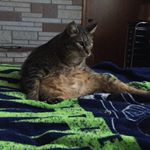 Profile Picture of Andrew Jacobson (@andrew.jacobson0.2.4) on Instagram