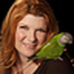 Profile Picture of Rebecca O'Connor (@rebeccakoconnor) on Flickr