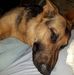 Profile Picture of Scott Montfort (@scott.montfort.3) on Facebook