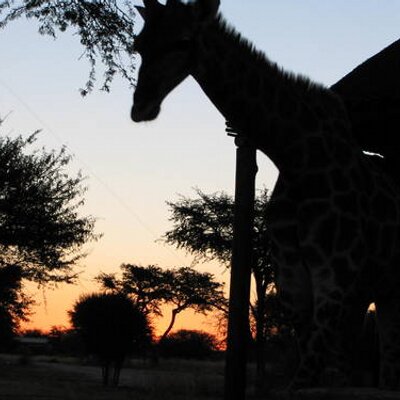 Profile Picture of Alison Boswell (@MadamAl_77) on Twitter