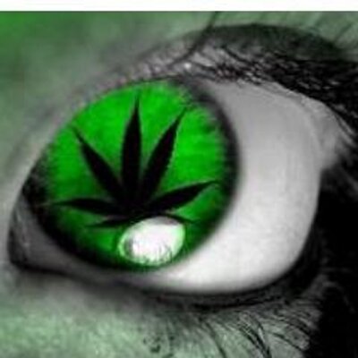 Profile Picture of Robert Pawlak (@3oobby13) on Twitter