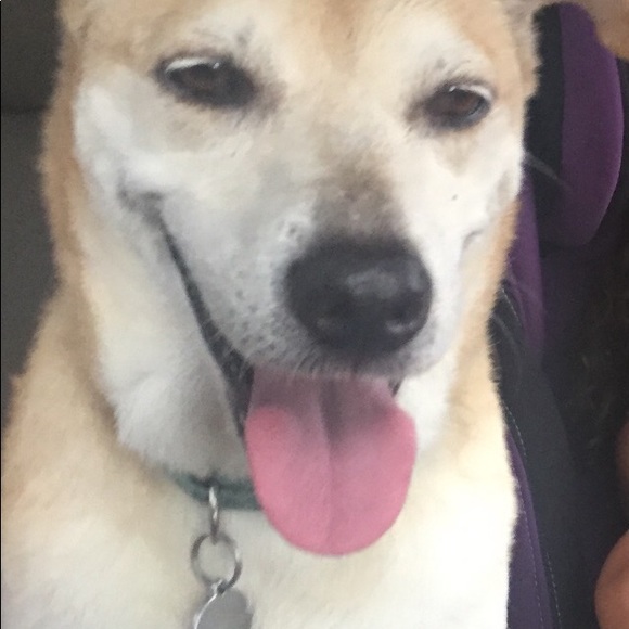 Profile Picture of Tamara Rojas (@tamara8877) on Poshmark