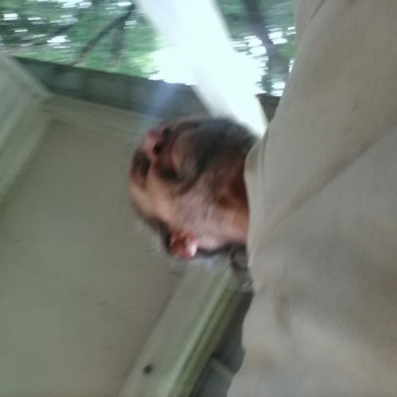 Profile Picture of Joe Rickman (@joerickman) on Poshmark