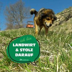 Profile Picture of michaelgrunser970 (@michaelgrunser970) on Tiktok