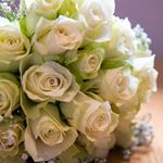 Tony Hamer - Instagram Profile Picture of Tony Hamer (@anthony_hamer_photography) on Instagram