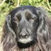 Profile Picture of Julia Ridgeway (@jar11960) on Facebook