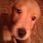 Profile Picture of Darrell Marsh (@marsh.darrell) on Instagram