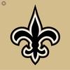 Profile Picture of   It's almost time for... (@saints) on Tiktok