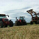 Profile Picture of matthew barrack (@matthewbarrack) on Instagram