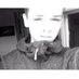 Profile Picture of Paul Oster (@PaulOster95) on Twitter